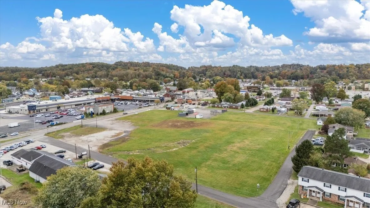 View of grassy yard