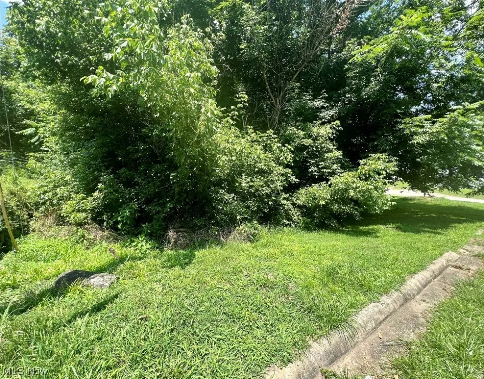 8 Liberty Lane, Pomeroy, Ohio,MLS Now Listing ID