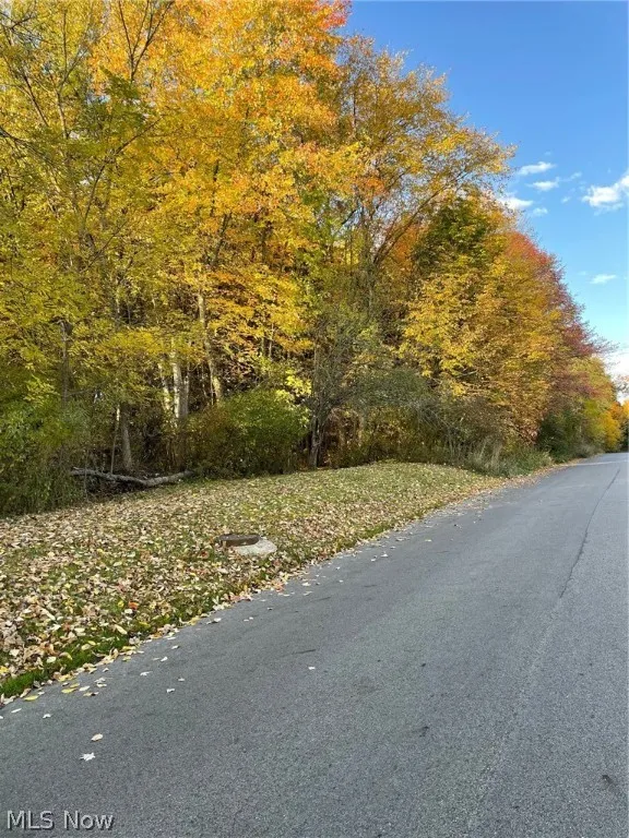 Federal Street, Warren, Ohio 44483,MLS Now Listing ID