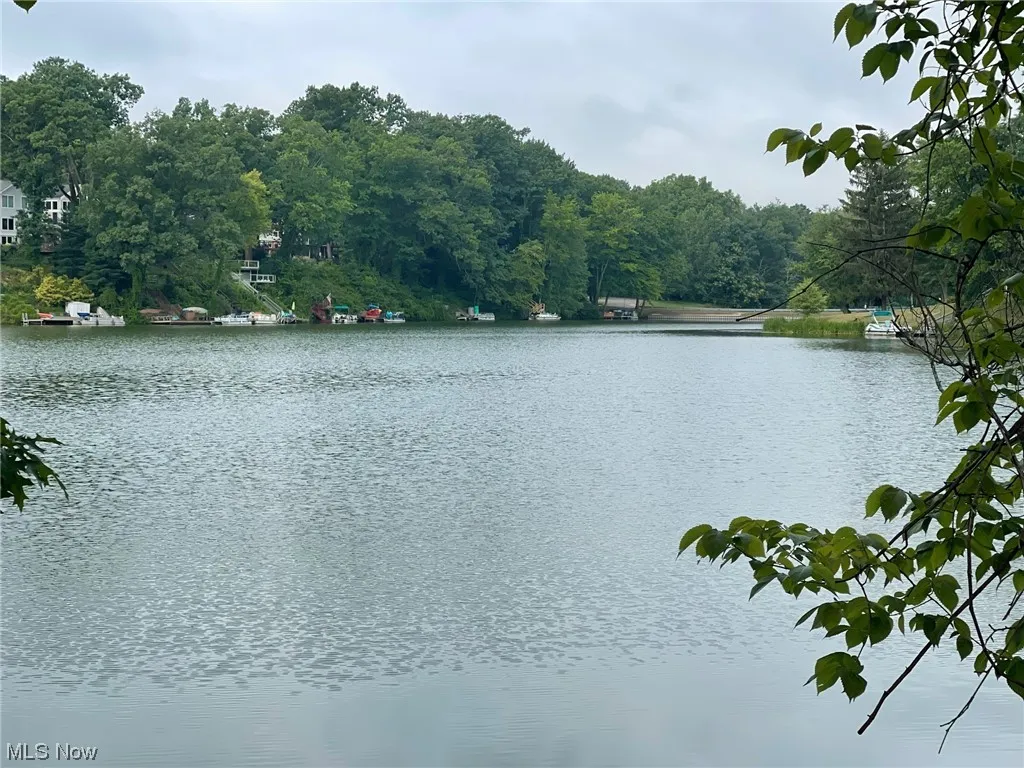 Lake view