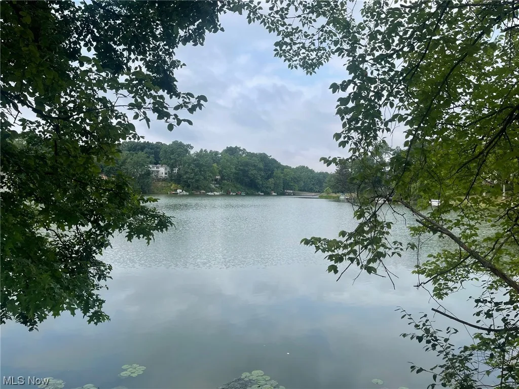 Lake view