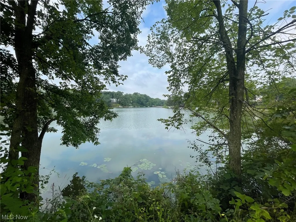 Lake view
