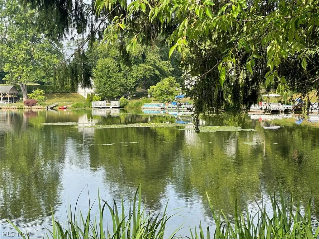 Lake view