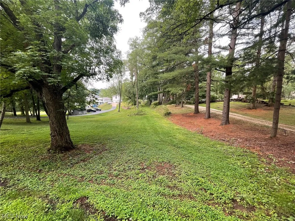 Front of lot view