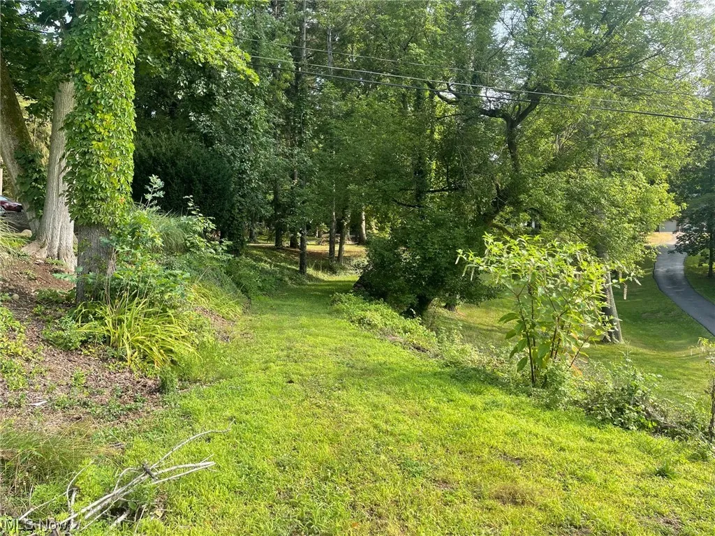 Lot view
