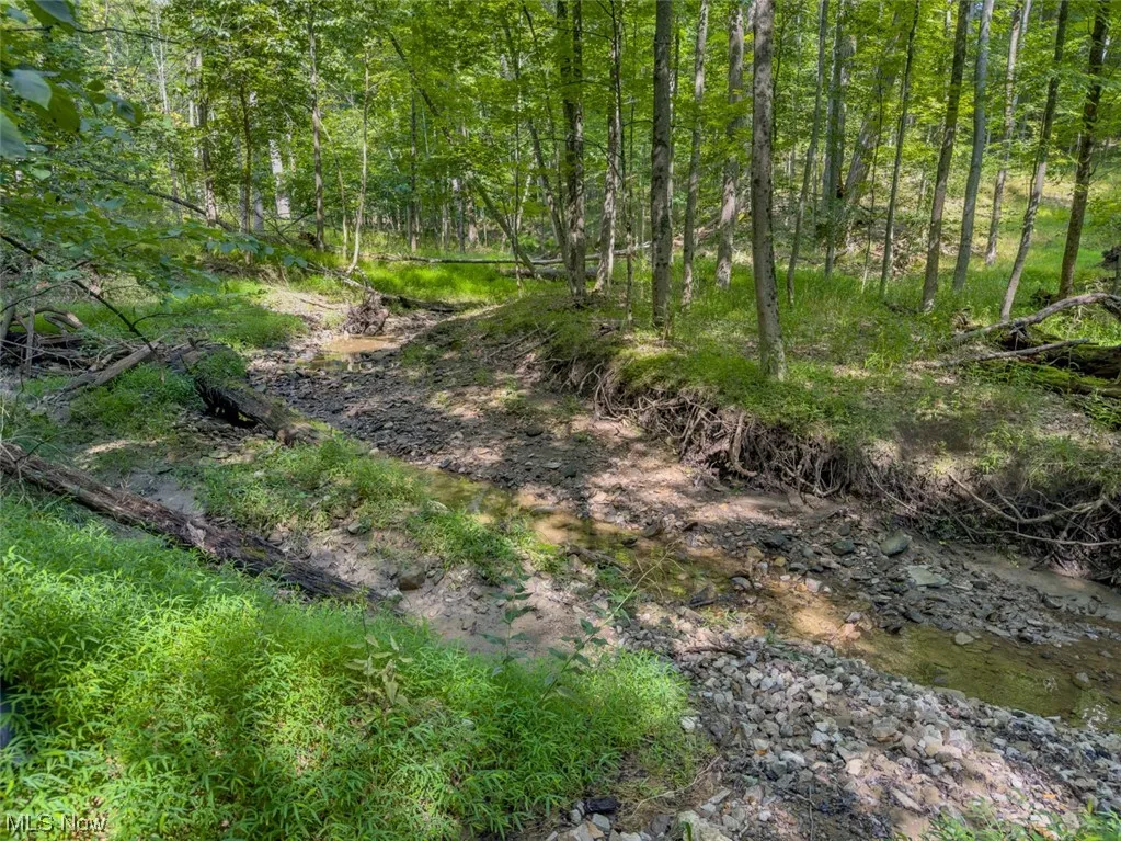 Welcome to 10585 Whitewood Road in Brecksville, OH 44141. 2.01 acre lot. View of mother earth's splendor
