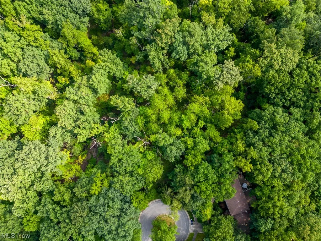 Welcome to 10585 Whitewood Road in Brecksville, OH 44141. 2.01 acre lot. View of drone / aerial view