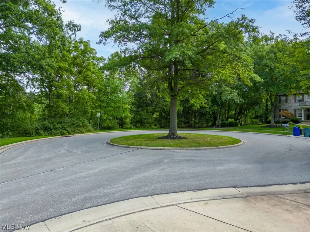 Welcome to 10585 Whitewood Road in Brecksville, OH 44141. 2.01 acre lot. View of street