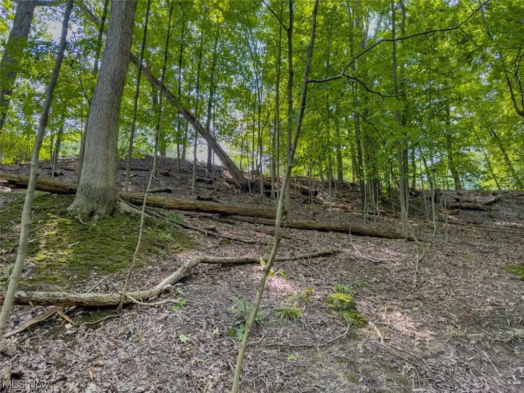 Welcome to 10585 Whitewood Road in Brecksville, OH 44141. 2.01 acre lot. View of nature