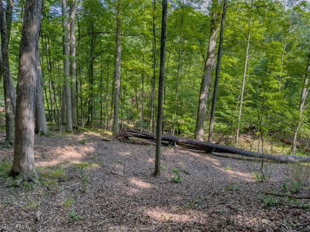 Welcome to 10585 Whitewood Road in Brecksville, OH 44141. 2.01 acre lot. View of nature