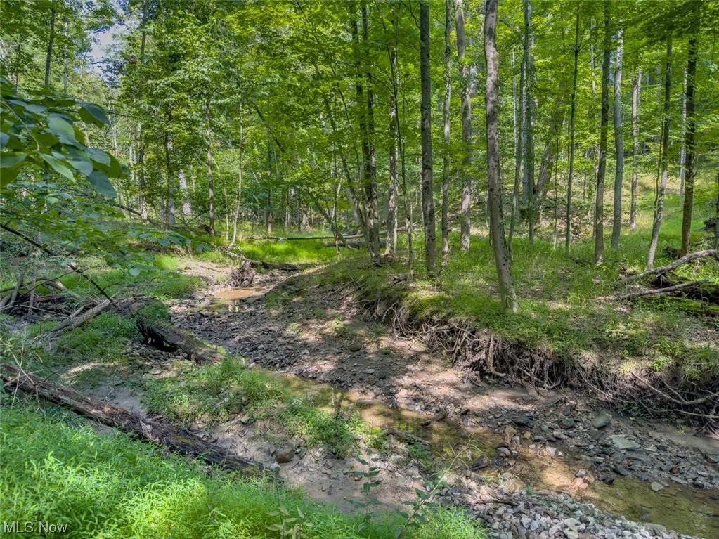 Welcome to 10585 Whitewood Road in Brecksville, OH 44141. 2.01 acre lot. View of local wilderness
