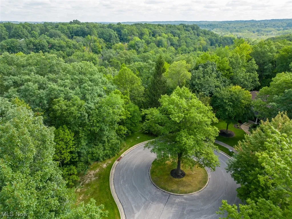 Welcome to 10585 Whitewood Road in Brecksville, OH 44141. 2.01 acre lot. View of bird's eye view