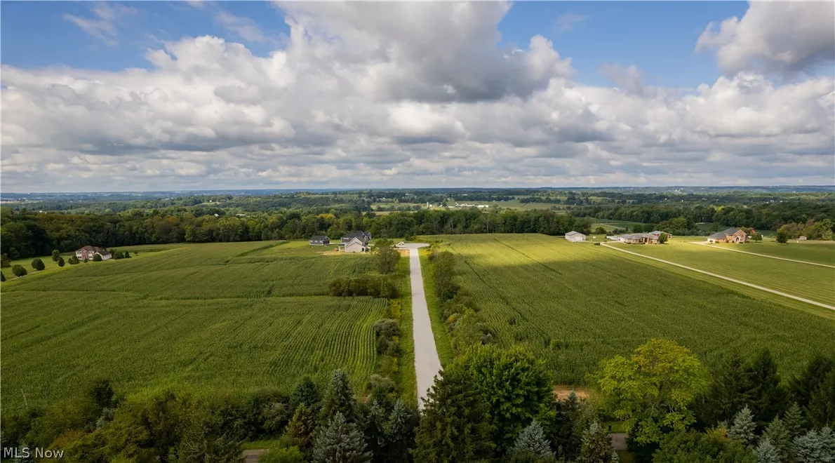 Aerial view of development