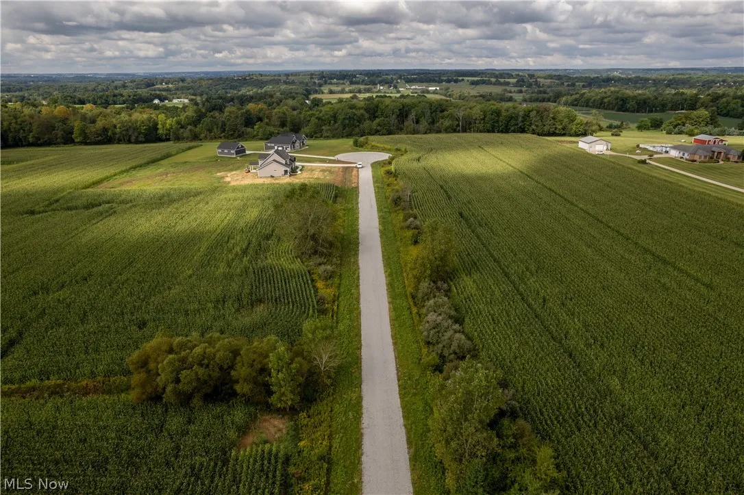 Aerial view of development