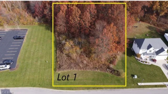 Lot #1