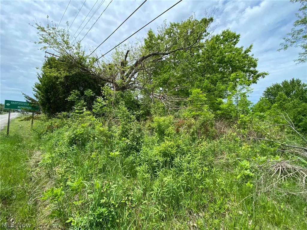 5323 N River State Rd 307 Road, Geneva, Ohio,MLS Now Listing ID