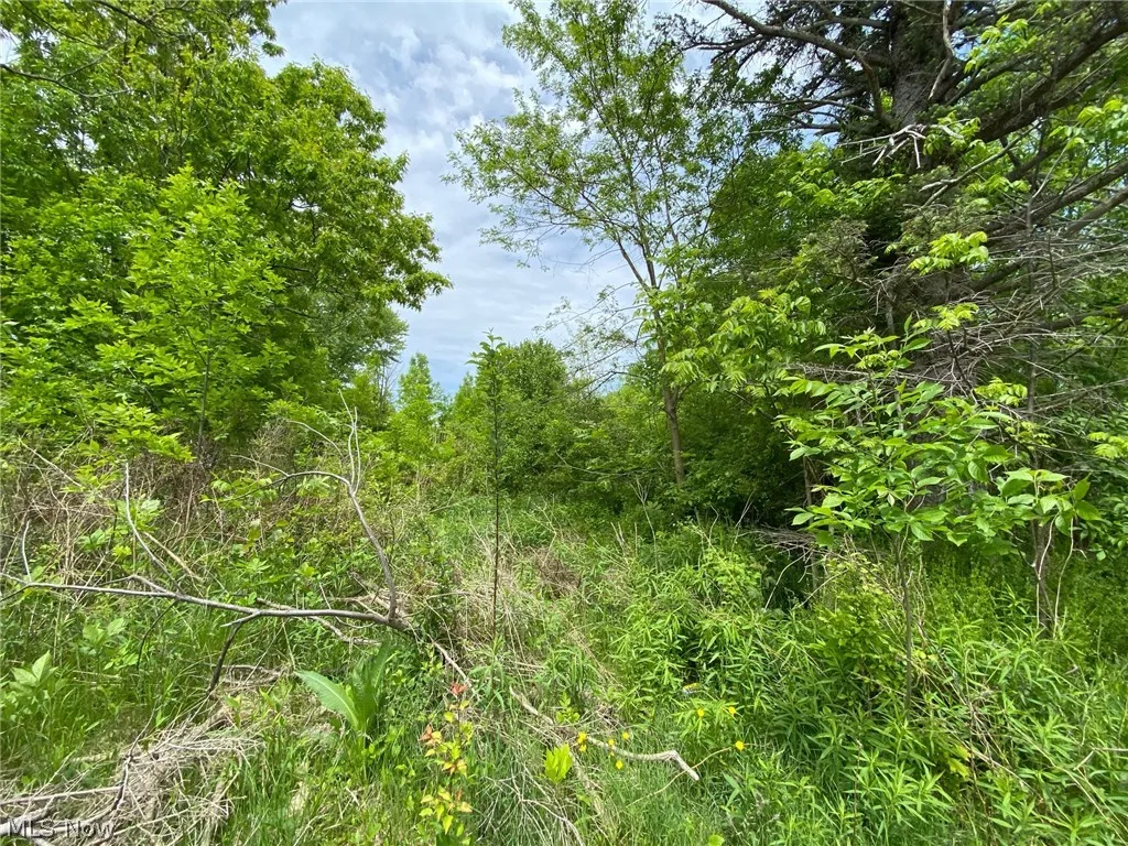 5323 N River State Rd 307 Road, Geneva, Ohio,MLS Now Listing ID