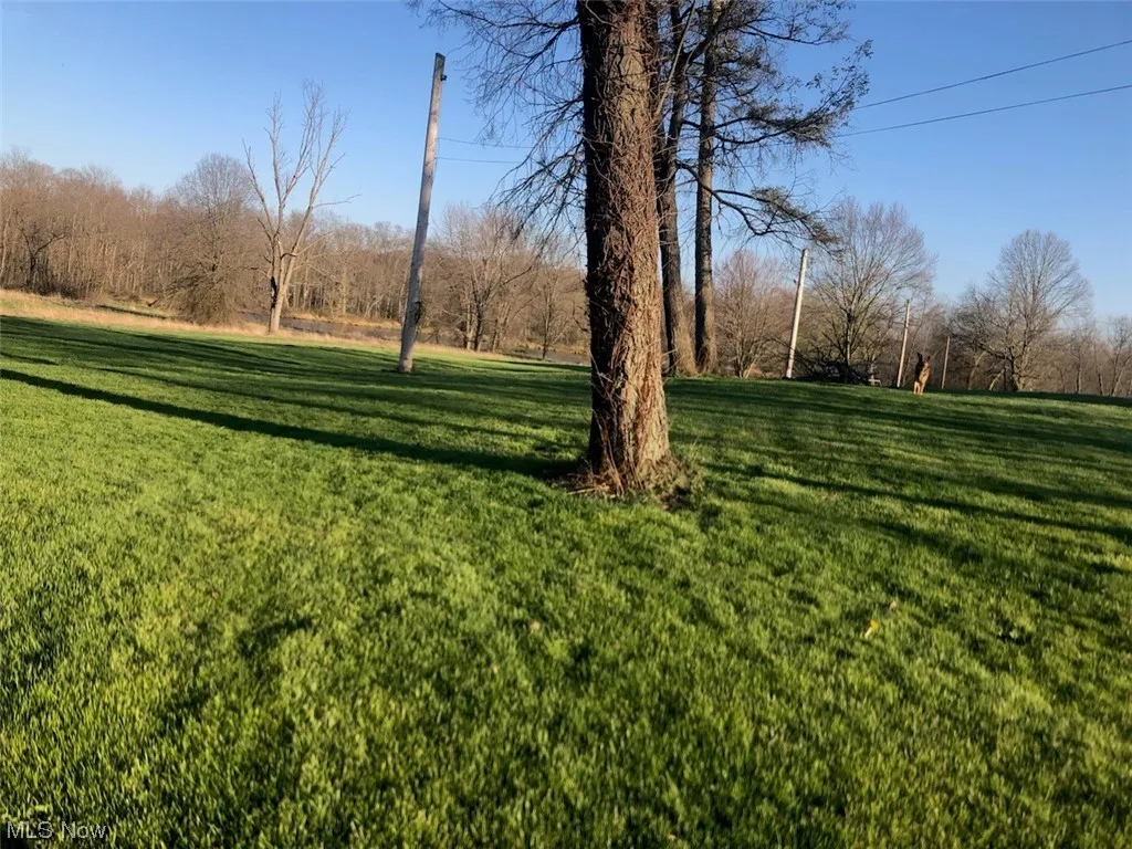 11695 Basinger Road, North Lima, Ohio 44452,MLS Now Listing ID
