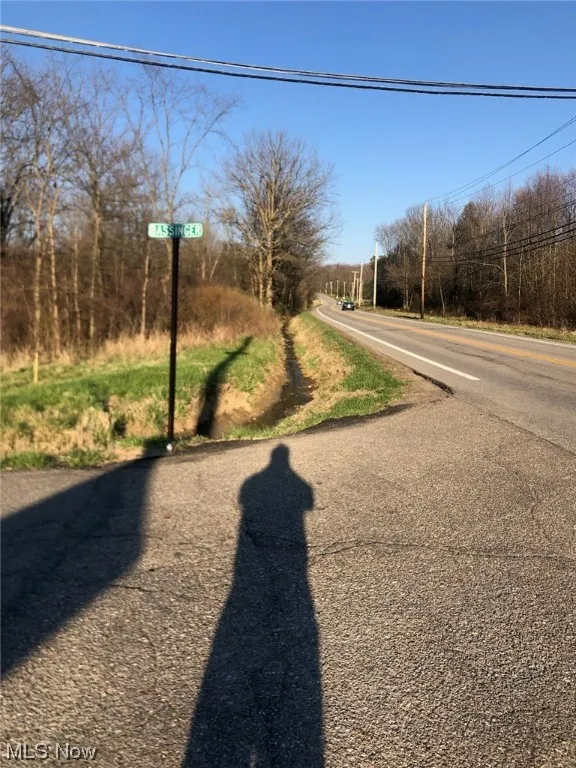 11695 Basinger Road, North Lima, Ohio 44452,MLS Now Listing ID