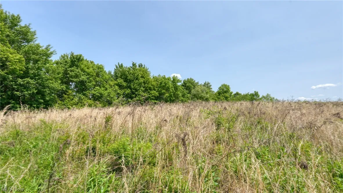 63620 Wintergreen Road, Lore City, Ohio,MLS Now Listing ID
