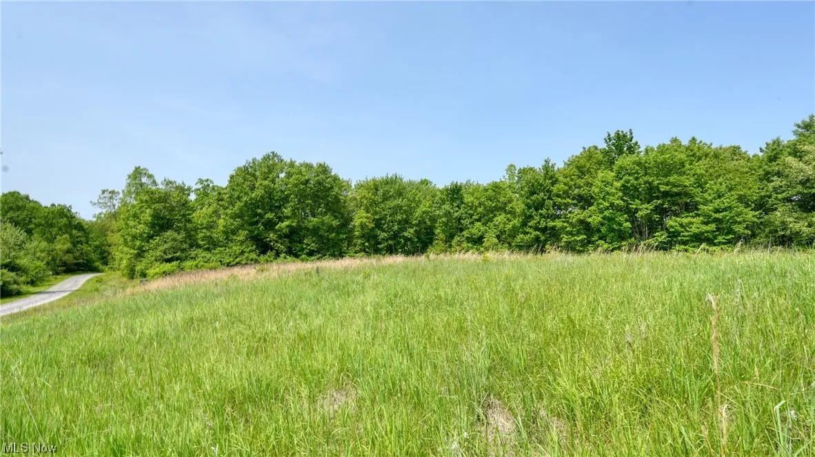 63530 Wintergreen Road, Lore City, Ohio,MLS Now Listing ID