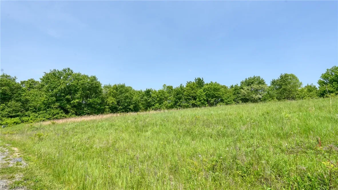 63530 Wintergreen Road, Lore City, Ohio,MLS Now Listing ID