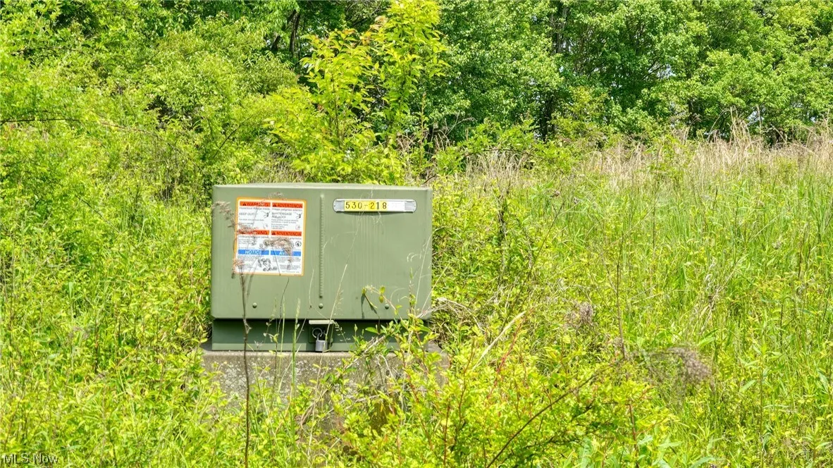 63580 Wintergreen Road, Lore City, Ohio 43755,MLS Now Listing ID