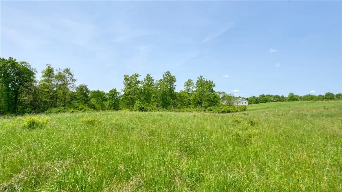 63580 Wintergreen Road, Lore City, Ohio,MLS Now Listing ID