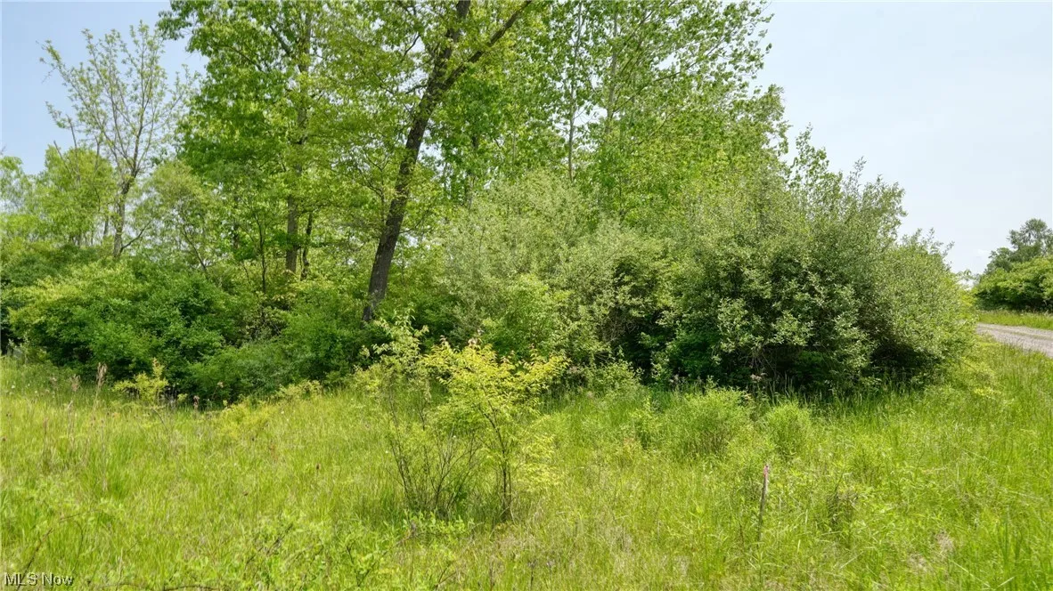 63580 Wintergreen Road, Lore City, Ohio,MLS Now Listing ID