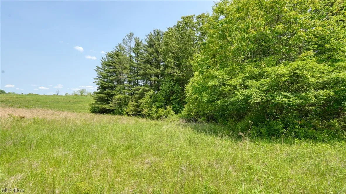 63690 Wintergreen Road, Lore City, Ohio,MLS Now Listing ID