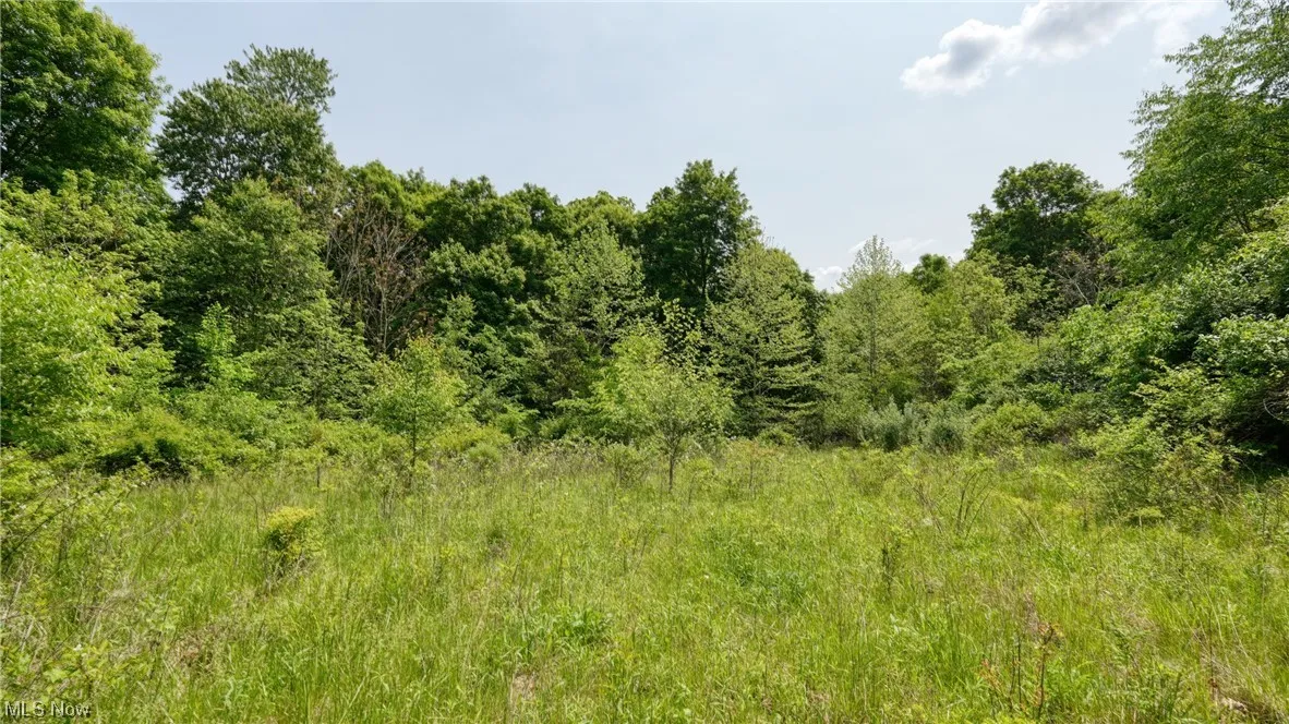 63690 Wintergreen Road, Lore City, Ohio,MLS Now Listing ID