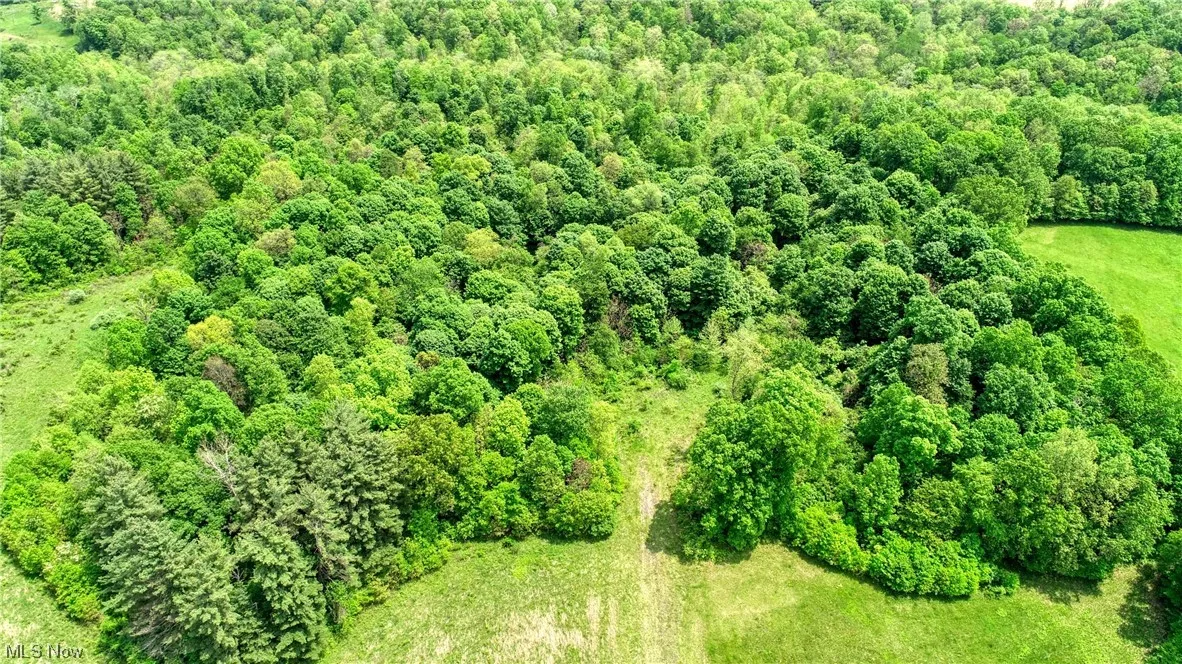 63690 Wintergreen Road, Lore City, Ohio,MLS Now Listing ID