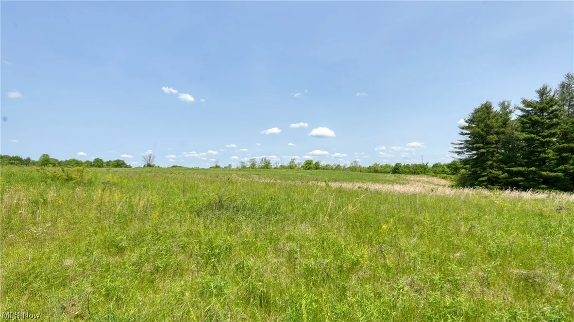 63660 Wintergreen Road, Lore City, Ohio,MLS Now Listing ID