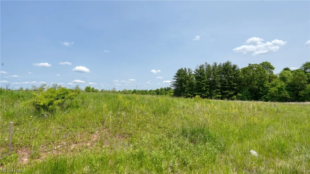 63660 Wintergreen Road, Lore City, Ohio,MLS Now Listing ID