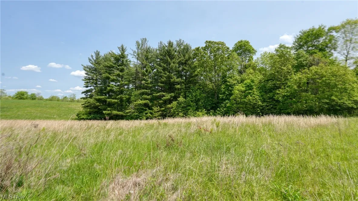 63660 Wintergreen Road, Lore City, Ohio,MLS Now Listing ID