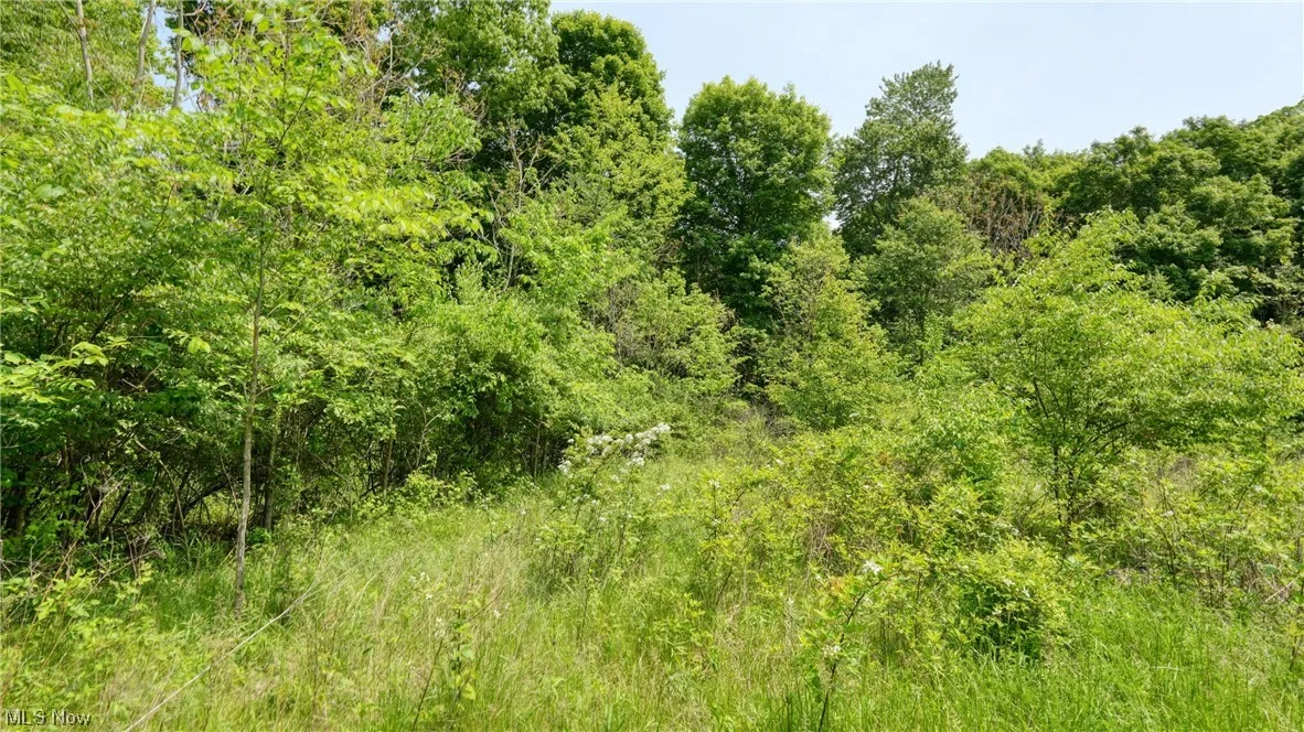 63590 Wintergreen Road, Lore City, Ohio,MLS Now Listing ID