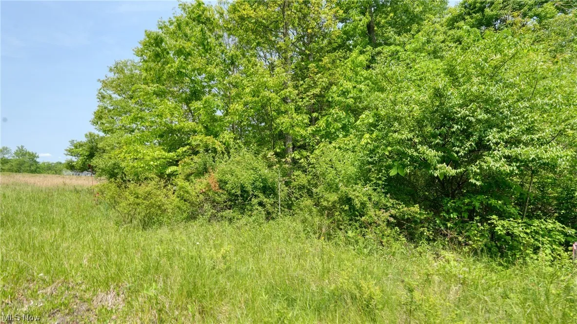 63590 Wintergreen Road, Lore City, Ohio,MLS Now Listing ID