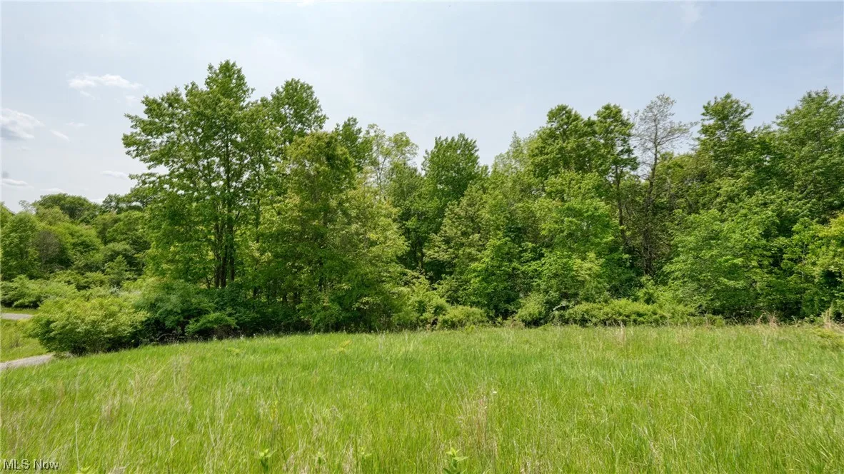 63590 Wintergreen Road, Lore City, Ohio,MLS Now Listing ID