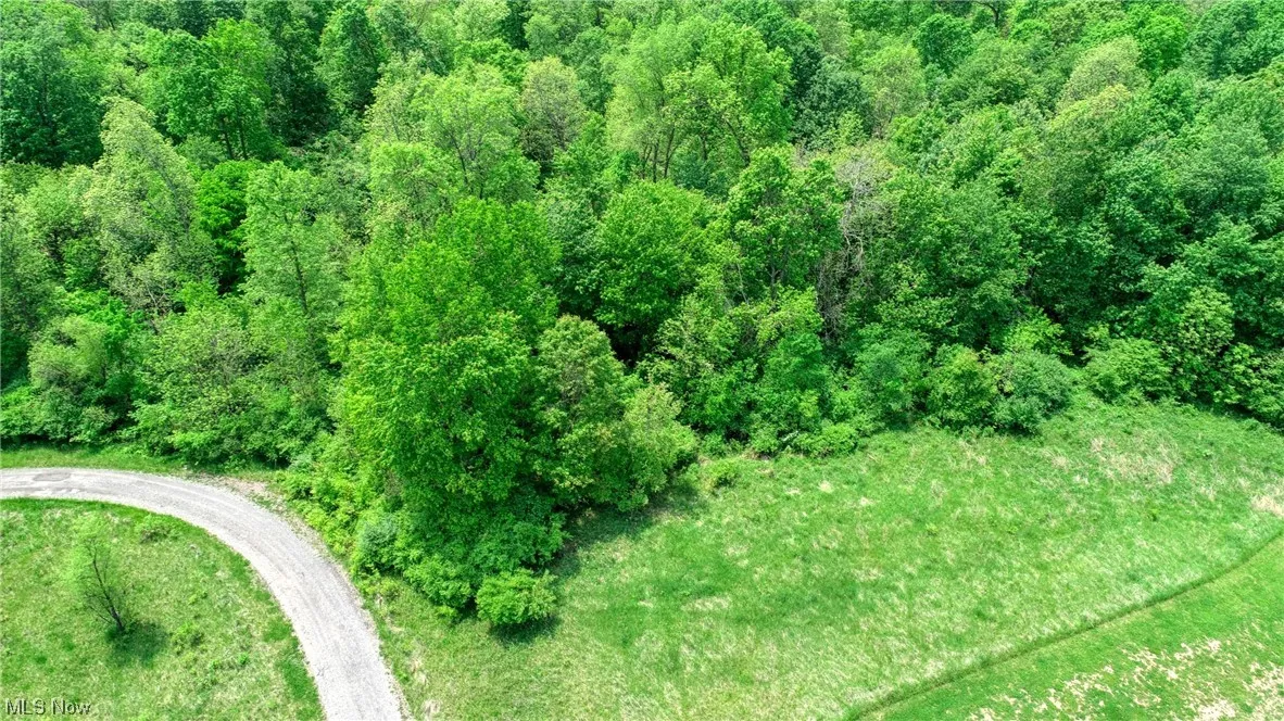 63590 Wintergreen Road, Lore City, Ohio,MLS Now Listing ID