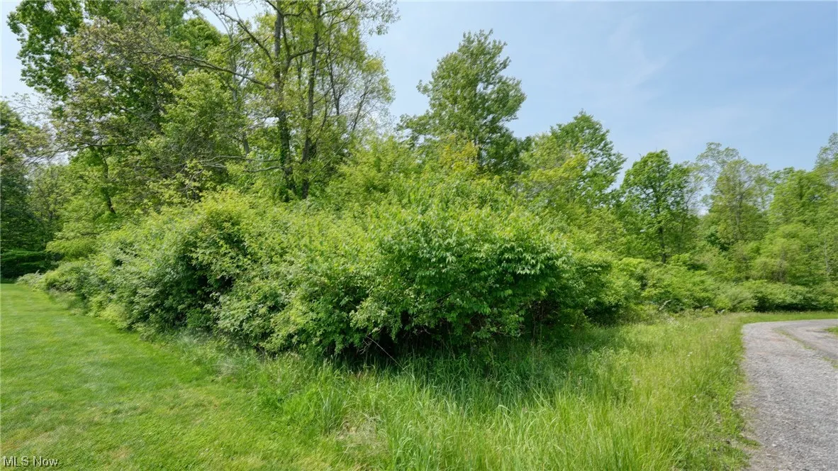 63590 Wintergreen Road, Lore City, Ohio,MLS Now Listing ID