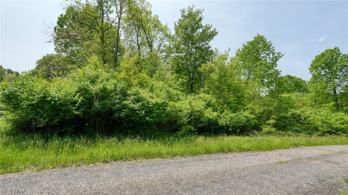 63590 Wintergreen Road, Lore City, Ohio,MLS Now Listing ID
