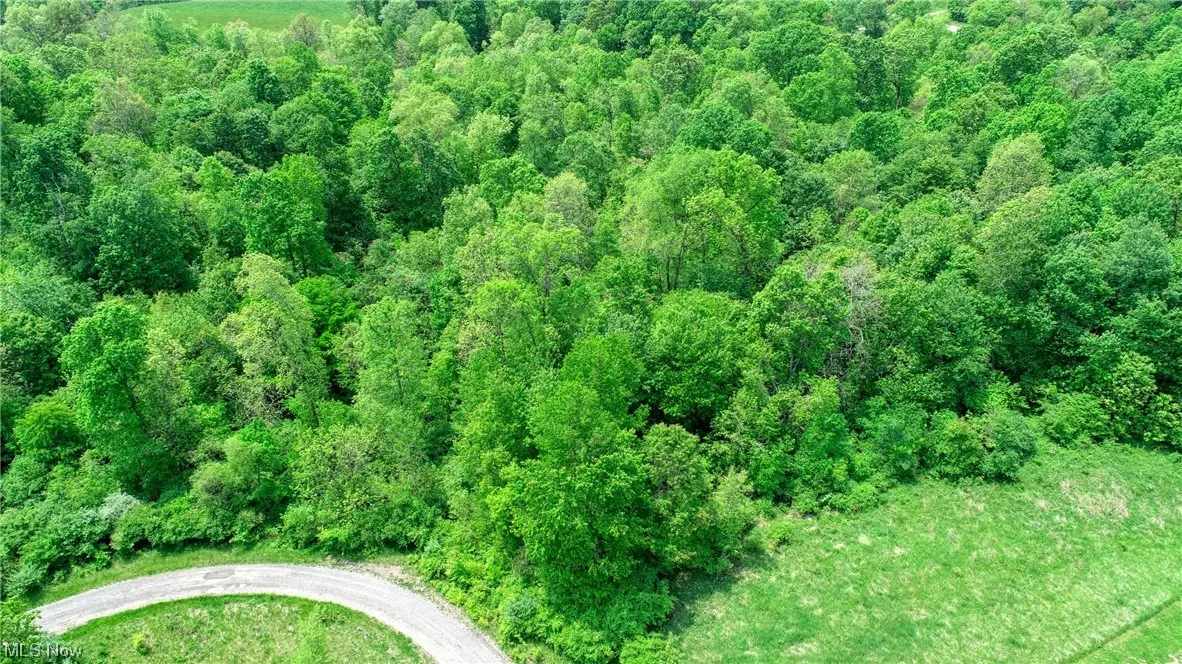 63590 Wintergreen Road, Lore City, Ohio,MLS Now Listing ID