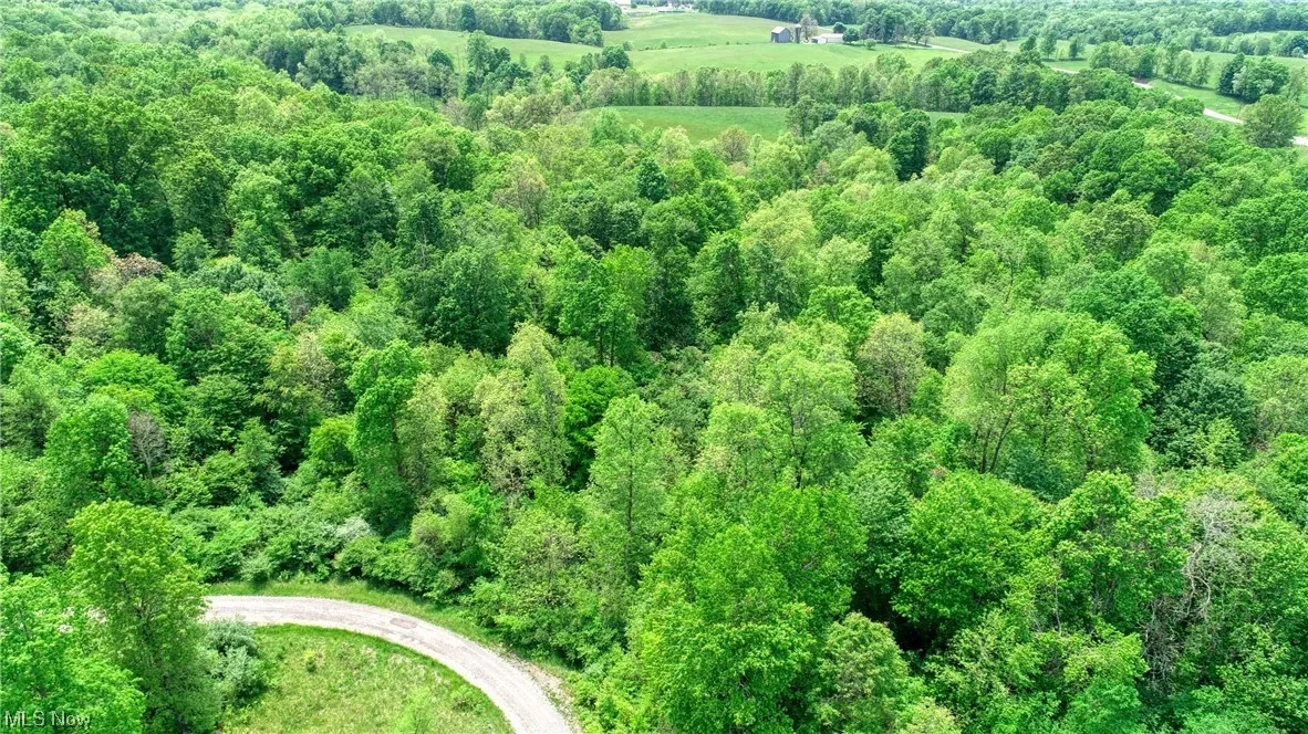 63590 Wintergreen Road, Lore City, Ohio,MLS Now Listing ID