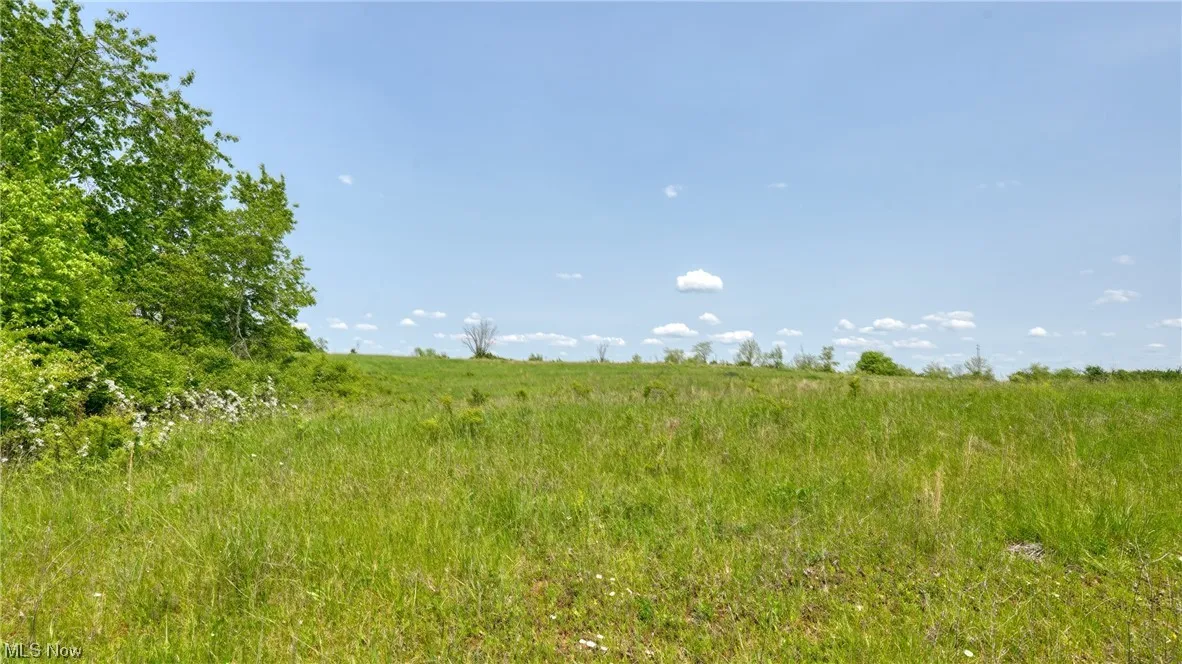 63700 Wintergreen Road, Lore City, Ohio,MLS Now Listing ID