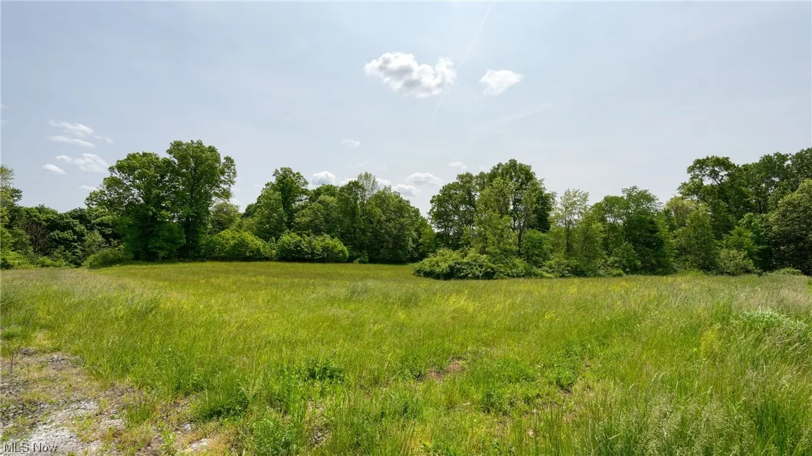 63700 Wintergreen Road, Lore City, Ohio,MLS Now Listing ID