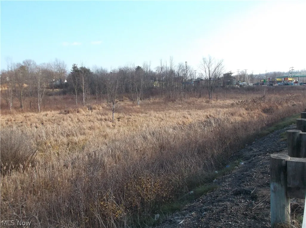 56525 Vocational Road, Buffalo, Ohio 43722,MLS Now Listing ID