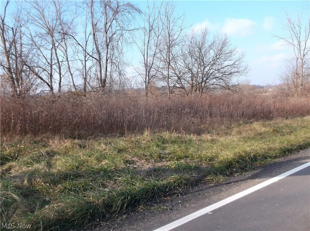 56525 Vocational Road, Buffalo, Ohio 43722,MLS Now Listing ID