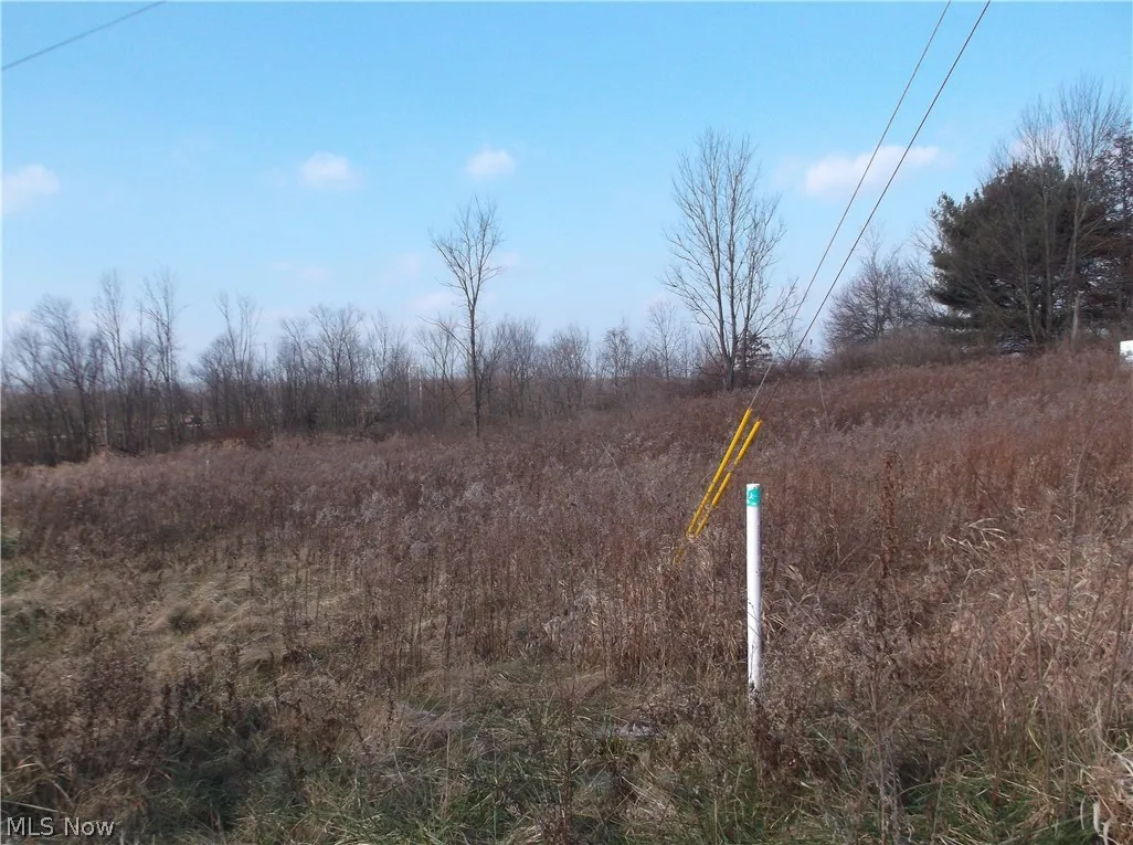 56525 Vocational Road, Buffalo, Ohio 43722,MLS Now Listing ID