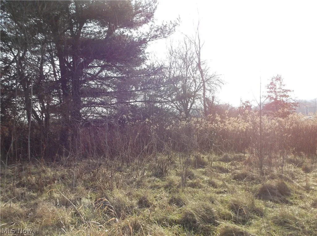 56525 Vocational Road, Buffalo, Ohio 43722,MLS Now Listing ID