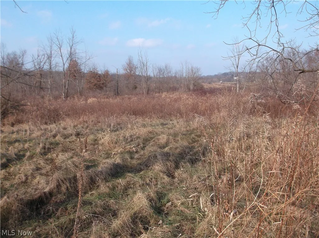 56525 Vocational Road, Buffalo, Ohio 43722,MLS Now Listing ID